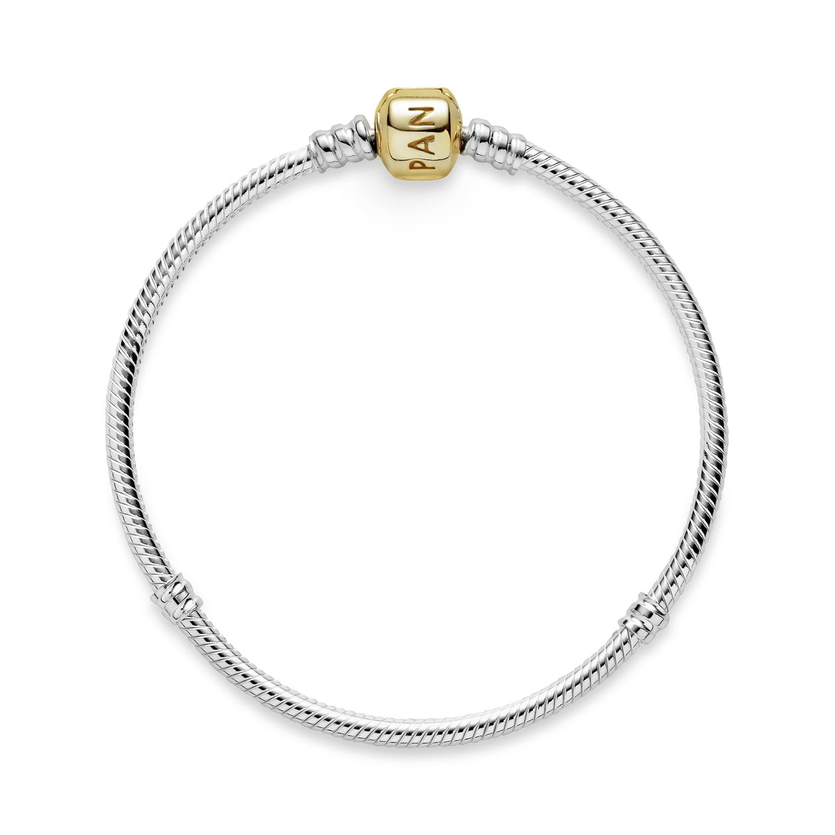 Pandora Charm Bracelet