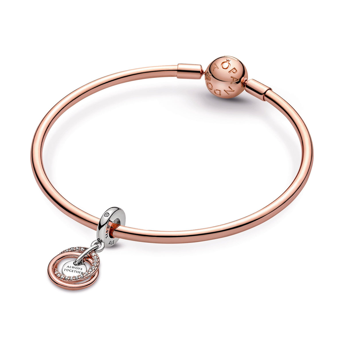 Pandora Family Always Encircled Dangle Charm