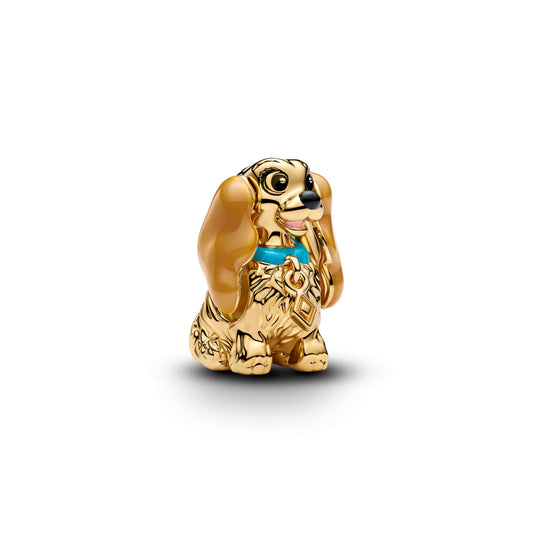 Disney Lady Charm